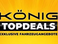 Lightninggrau Gebraucht 2021 Dacia Spring Business Kleinwagen | 9.499 € (Fairer Preis)