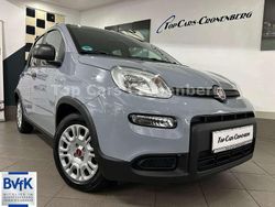 Grau Gebraucht 2023 Fiat Panda Kleinwagen | 12.950 € (Fairer Preis)
