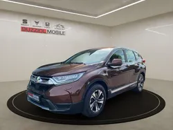 Braun Gebraucht 2020 Honda CR-V Comfort SUV | 19.980 € (Guter Preis)