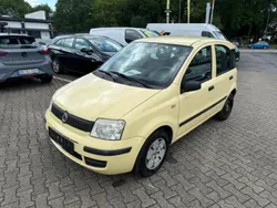Gelb Gebraucht 2009 Fiat Panda Kleinwagen | 1.999 € (Fairer Preis)