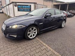 Blau Gebraucht 2013 Jaguar XF Limousine | 3.990 €