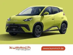 Gelb (lime green) Neu 2025 BYD Dolphin Comfort Kleinwagen | 24.990 € (Guter Preis)