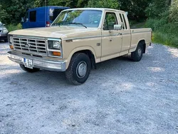 Beige Gebraucht 1983 Ford F-150 Abholung | 18.800 €