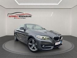 Grau Gebraucht 2016 BMW 218 Sport Line Cabrio | 15.990 € (Guter Preis)