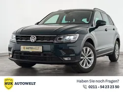 Grün Gebraucht 2020 VW Tiguan Comfortline SUV | 23.260 € (Guter Preis)