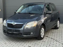 Grau Gebraucht 2009 Skoda Fabia Limousine | 1.499 € (Superpreis)