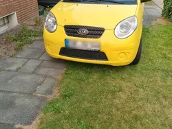 Gelb Gebraucht 2008 Kia Picanto Kleinwagen | 2.000 €