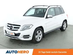 Blanco polar pintura unicolo Gebraucht 2015 Mercedes GLK220 SUV | 24.490 € (Etwas zu teuer)