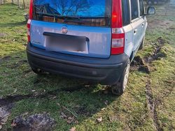 Blau Gebraucht 2010 Fiat Panda Kleinwagen | 1.200 € (Guter Preis)