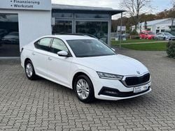 Weiß Gebraucht 2022 Skoda Octavia Limousine | 22.890 € (Guter Preis)