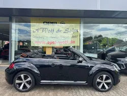 VW Beetle