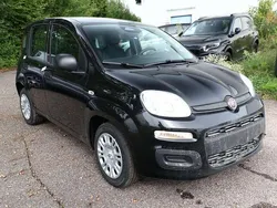 Cinema schwarz Neu 2025 Fiat Panda Kleinwagen | 14.552 € (Fairer Preis)