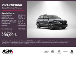 Grau Neu 2025 Skoda Karoq Tour SUV | 39.755 € (Etwas zu teuer)