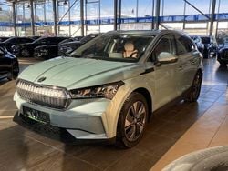 Grün Gebraucht 2024 Skoda Enyaq iV ecoSuite SUV | 39.900 € (Guter Preis)