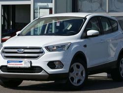Weiß Gebraucht 2019 Ford Kuga Trend SUV | 16.700 € (Guter Preis)