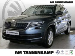 Grau Gebraucht 2018 Skoda Kodiaq Style SUV | 28.960 € (Etwas zu teuer)