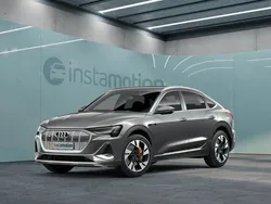 Grau Gebraucht 2021 Audi e-tron SUV | 34.320 € (Teuer)
