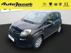 Cinema schwarz) (schwarz Neu 2025 Fiat Panda Kleinwagen | 16.290 €