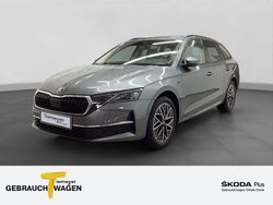 Grau Gebraucht 2025 Skoda Octavia Selection Kombi | 32.940 € (Guter Preis)