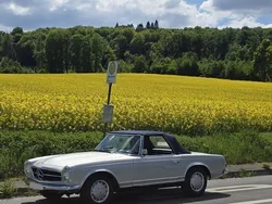 Mercedes 250