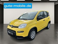 Gelb Neu 2024 Fiat Panda Kleinwagen | 12.970 € (Guter Preis)