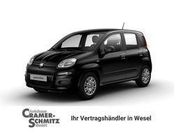 Cinema schwarz Neu 2025 Fiat Panda Icon Limousine | 15.990 € (Etwas zu teuer)