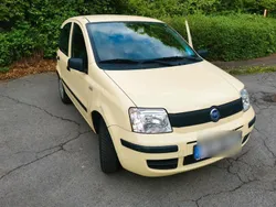 Gelb Gebraucht 2007 Fiat Panda Kleinwagen | 2.100 € (Fairer Preis)
