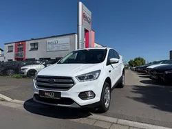 Frozen white Gebraucht 2018 Ford Kuga Trend SUV | 17.950 € (Fairer Preis)