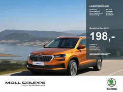 Energyblau Neu 2025 Skoda Karoq Selection SUV | 33.930 € (Teuer)