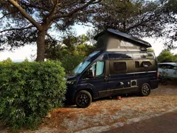 Blau Gebraucht 2018 Fiat Ducato Rock Van | 52.000 €