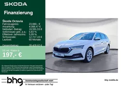 Weiß Gebraucht 2023 Skoda Octavia Style Kombi | 23.680 € (Fairer Preis)