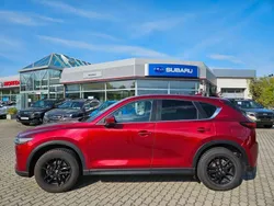 Rot Gebraucht 2020 Mazda CX-5 Exclusive-Line SUV | 21.690 € (Fairer Preis)