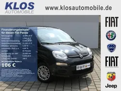 Schwarz Gebraucht 2020 Fiat Panda Easy Kleinwagen | 10.990 € (Etwas zu teuer)