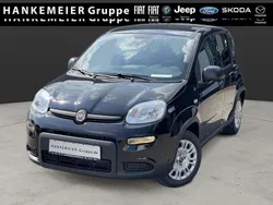 Schwarz Neu 2024 Fiat Panda Kleinwagen | 14.990 € (Fairer Preis)