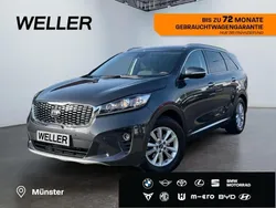 Abt) platinum graphite (grau Gebraucht 2019 Kia Sorento Edition 7 SUV | 25.890 € (Fairer Preis)
