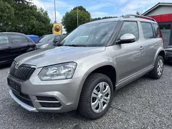Beige Gebraucht 2015 Skoda Yeti Active SUV | 5.500 € (Etwas zu teuer)