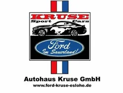 Magnetic grau Neu 2025 Ford Tourneo Limousine | 54.800 € (Guter Preis)