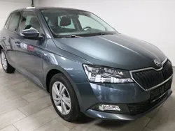 Grau Gebraucht 2020 Skoda Fabia Ambition Limousine | 16.790 € (Etwas zu teuer)