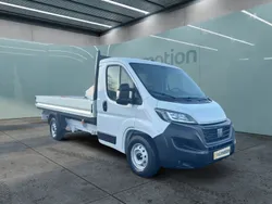 Weiß Gebraucht 2023 Fiat Ducato Van | 38.550 € (Fairer Preis)