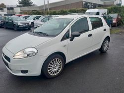 Gebraucht 2013 Fiat Punto Kleinwagen | 2.300 € (Fairer Preis)
