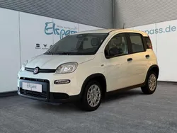 Gelato weiß Neu 2024 Fiat Panda Kleinwagen | 14.989 € (Fairer Preis)