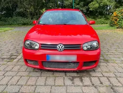 Rot Gebraucht 2003 VW Golf IV R Kleinwagen | 1.600 € (Guter Preis)