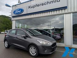 Grau Gebraucht 2017 Ford Fiesta Trend Kleinwagen | 14.990 € (Teuer)