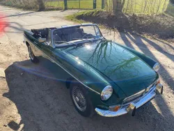 Grün Gebraucht 1979 MG B Cabrio | 16.990 €