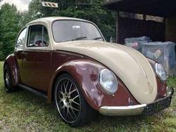 Beige Gebraucht 1981 VW Käfer Limousine | 22.680 €