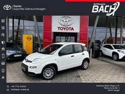 Weiß Neu 2024 Fiat Panda Kleinwagen | 14.280 € (Fairer Preis)