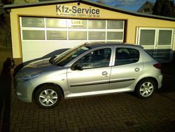 Lackierung aluminiumgrau Gebraucht 2010 Peugeot 206 Basis Kleinwagen | 2.990 € (Fairer Preis)