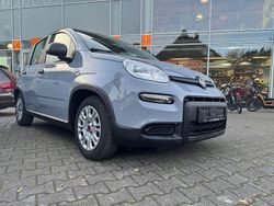 Grau Gebraucht 2023 Fiat Panda Limousine | 10.900 € (Fairer Preis)