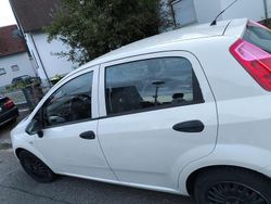 Gebraucht 2009 Fiat Punto Kleinwagen | 1.200 € (Fairer Preis)