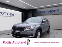 Grau Gebraucht 2021 Skoda Kodiaq Ambition SUV | 27.443 € (Guter Preis)